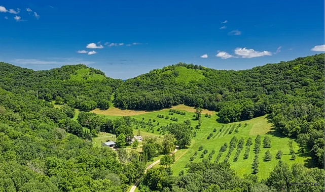 2B arazilerinde ikinci şans: 102 bin kişi tapu hakkına kavuşacak