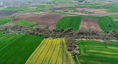 Çanakkale Biga’da 94 yıl süren kadastro davası: Dedeler açtı torunlarda karara bağlandı