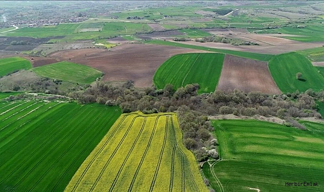 Çanakkale Biga'da 94 yıl süren kadastro davası: Dedeler açtı torunlarda karara bağlandı