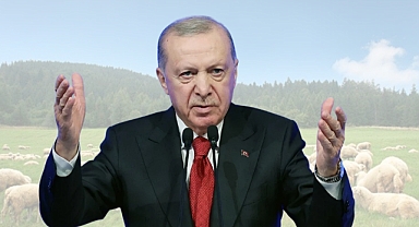 Erdoğan'dan küçükbaş hayvancılığa 150 bin başlık destek paketi