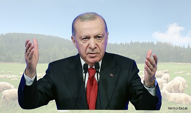Erdoğan'dan küçükbaş hayvancılığa 150 bin başlık destek paketi