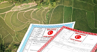 Orman vasfını yitiren ama 2B’ye girmeyen arazilere tapu yolu açılıyor