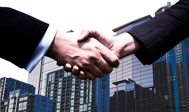 TOKİ'den cazip fırsat: 46 ilde 460 gayrimenkul açık artırmayla satışta! 