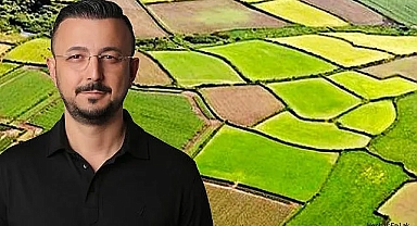 Arsa alırken fiyat değil tapu konuşur: Uzmanlar 'takyidat kontrolü yapılmadan kapora vermeyin' uyarısı yaptı