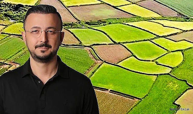 Arsa alırken fiyat değil tapu konuşur: Uzmanlar 'takyidat kontrolü yapılmadan kapora vermeyin' uyarısı yaptı