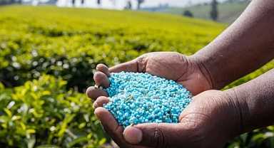 Gübrede gümrük vergisi sıfırlandı: üre ithalatında yeni karar yürürlüğe girdi