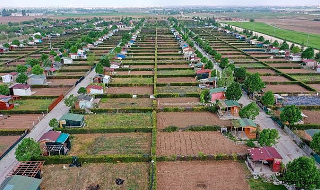 Hobi bahçelerinde geri adım: Abdullah Güler düzenleme ileriye dönük olacak