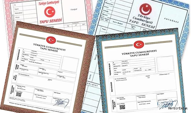 Tapu renkleri ne anlama geliyor? Ev alacaklar için kritik rehber