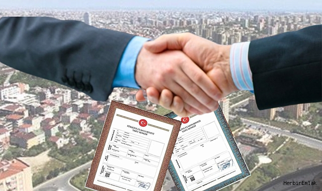 Tapuda bu şerhler varsa dikkat: Ev alırken büyük risk oluşturabilir