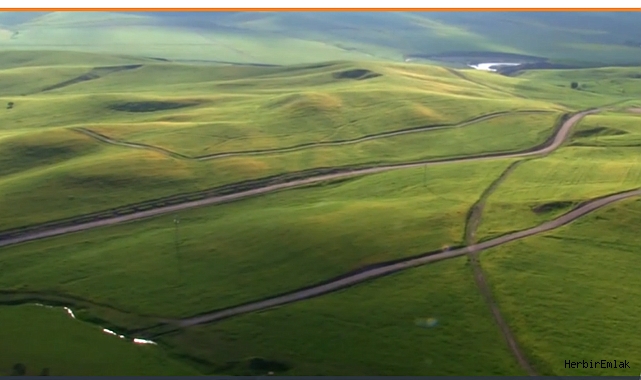 Tarlası boş olanlara yüzde 75 hibe desteği! İşlenmeyen araziler üretime kazandırılacak