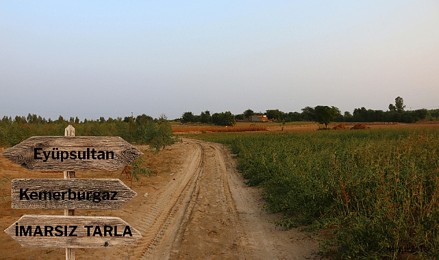 Eyüpsultan’da imarsız tarlalar ihaleye çıkıyor: 24 yıllık plansızlık dikkat çekiyor