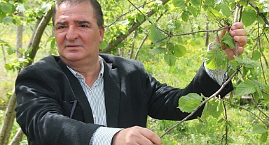 Fındık sektörünün acı kaybı: Sebahattin Arslantürk hayatını kaybetti