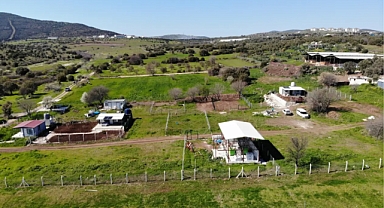 Hobi bahçeleri krizinde ikinci perde: yeni düzenleme yolda