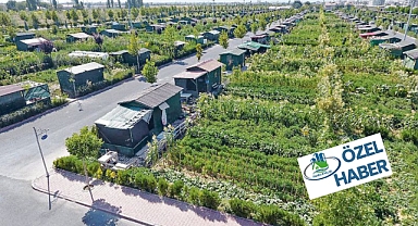 Hobi bahçelerinde geri adım sinyali: Yeni düzenleme yolda