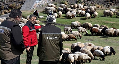 Kırsalda bereket projesi başladı: Kimler başvurabilecek, nasıl başvurulacak?