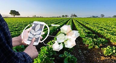 Küresel krizler büyürken tarım kooperatifler için yapısal sorunlar rekabeti zorluyor