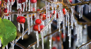 Meteoroloji'den 45 ile sarı kodlu alarm: Zirai don ve kuvvetli yağış uyarısı