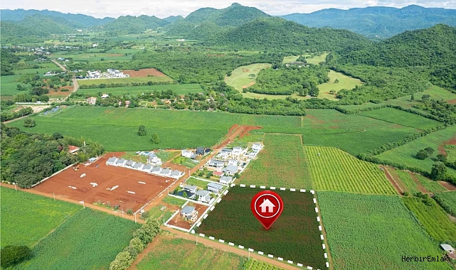 Sosyal medyada arsa tuzağı: Yatırımcılar dolandırıcılara karşı uyarılıyor