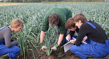 Tarımda gençleşme hamlesi 81 ilde 40 bin teknolojik çiftlik kurulacak