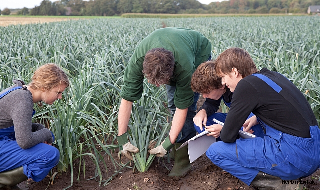 Tarımda gençleşme hamlesi 81 ilde 40 bin teknolojik çiftlik kurulacak