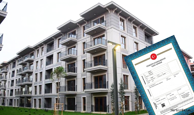 Tapuyu aldıktan sonra yapılması gereken resmi işlemler neler? Yeni ev sahipleri için kritik adımlar
