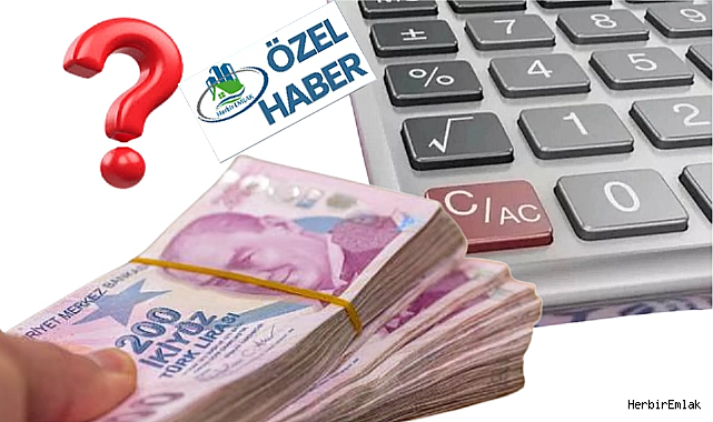 Vergi düzenlemesinde faiz indirimi var, faiz silme yok