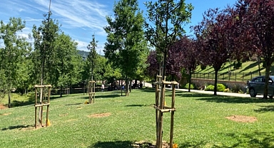 İstanbul park ve bahçeleri meyve verecek