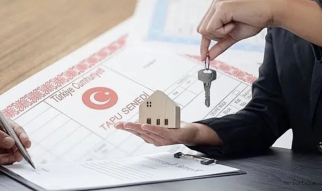 Tapuda MEVA farkı geliri ikiye katladı: Nedir bu MEVA?