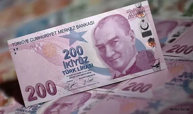 Toplam banknot değerinin yaklaşık yüzde 90'ını 200 TL oluşturdu